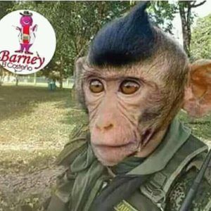 Meet your Posher, Jbc